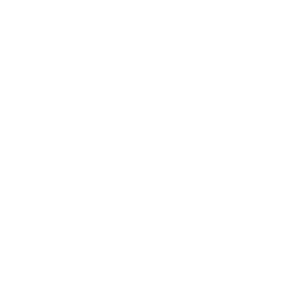 Fusion